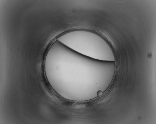 X0000102220491200807250749