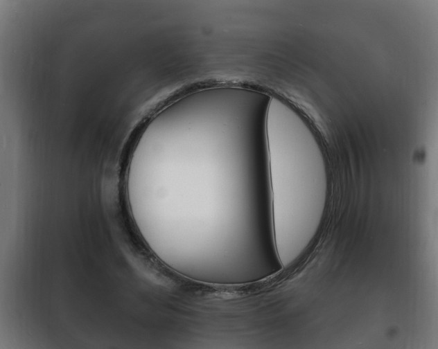 X0000102220492200807250749