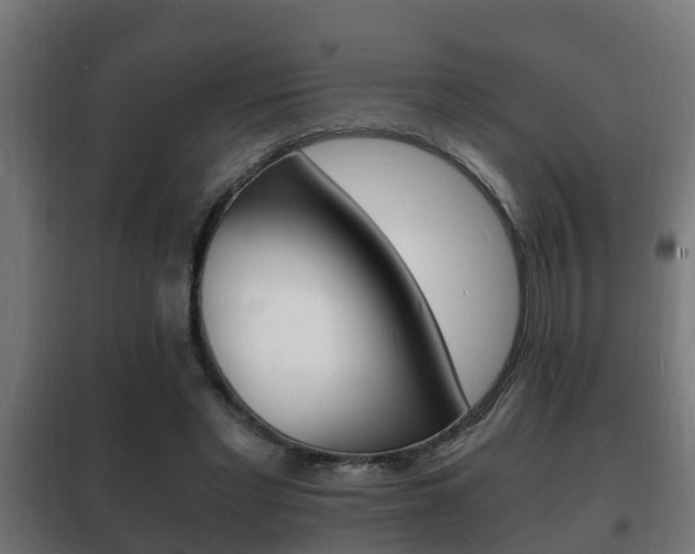 X0000102220493200807250749