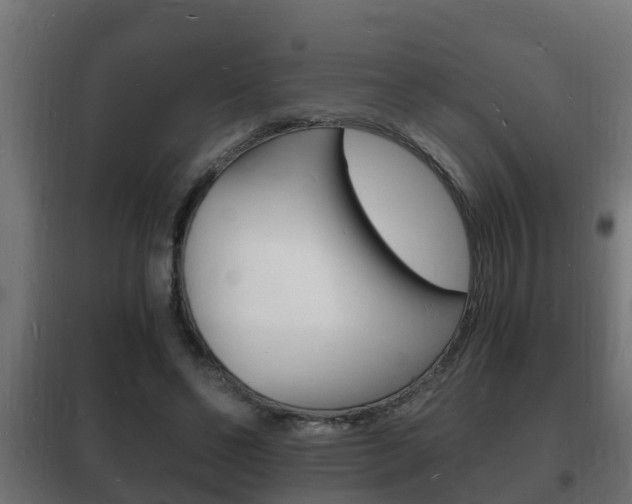 X0000102220494200807250749