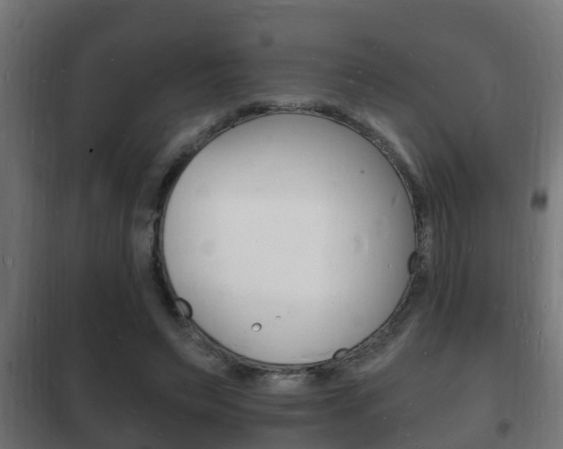 X0000102220495200807250749