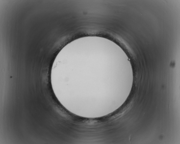 X0000102220497200807250749
