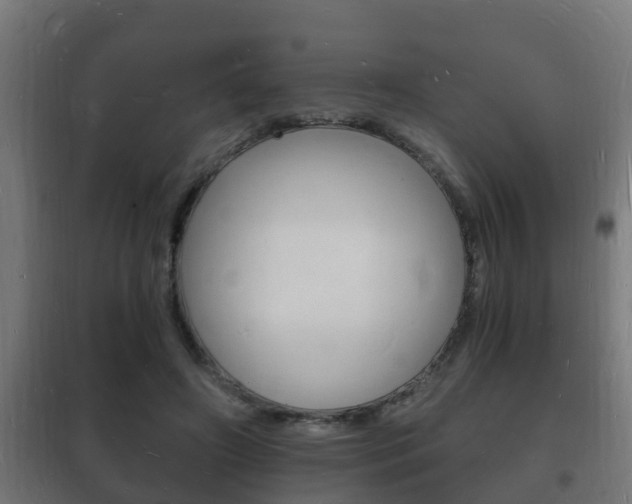 X0000102220498200807250749