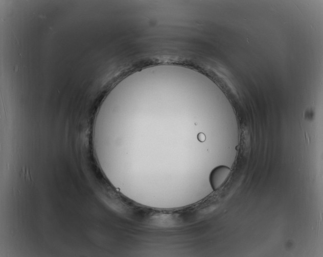 X0000102220499200807250749