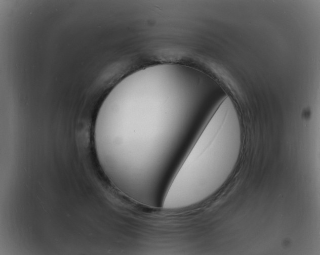 X0000102220501200807250749