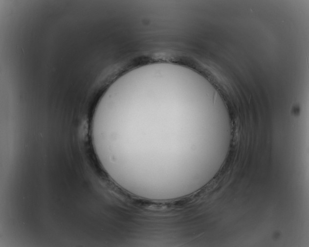 X0000102220502200807250749