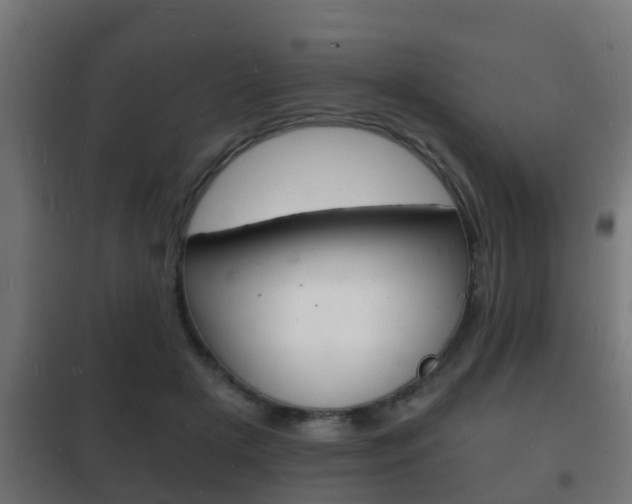 X0000102220505200807250749