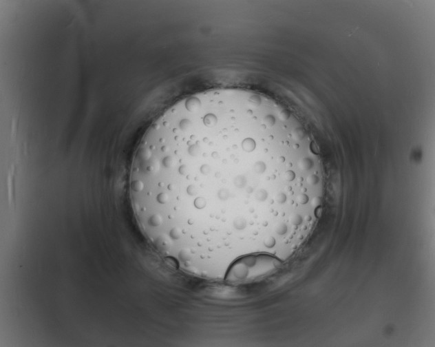 X0000102220507200807250749