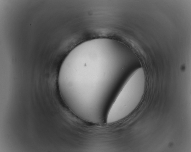 X0000102220509200807250749