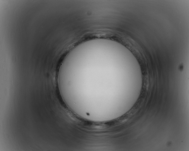 X0000102220510200807250749