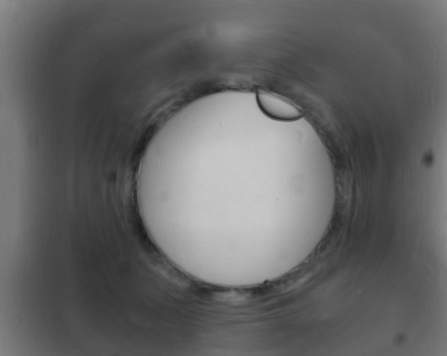 X0000102220511200807250749