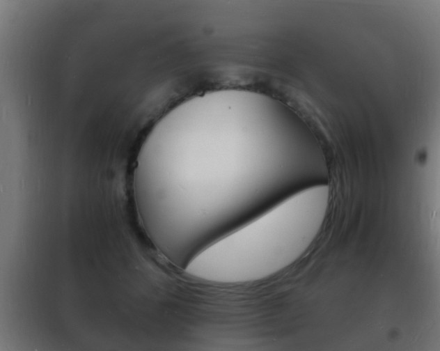 X0000102220512200807250749