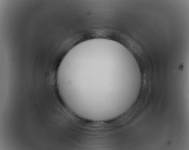 X0000102220514200807250749