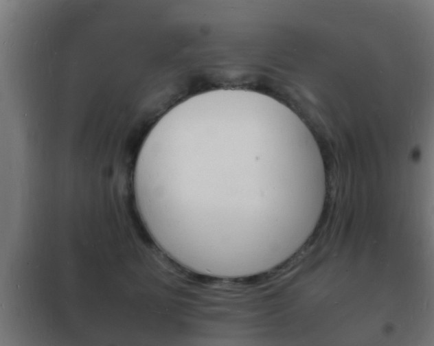X0000102220515200807250749