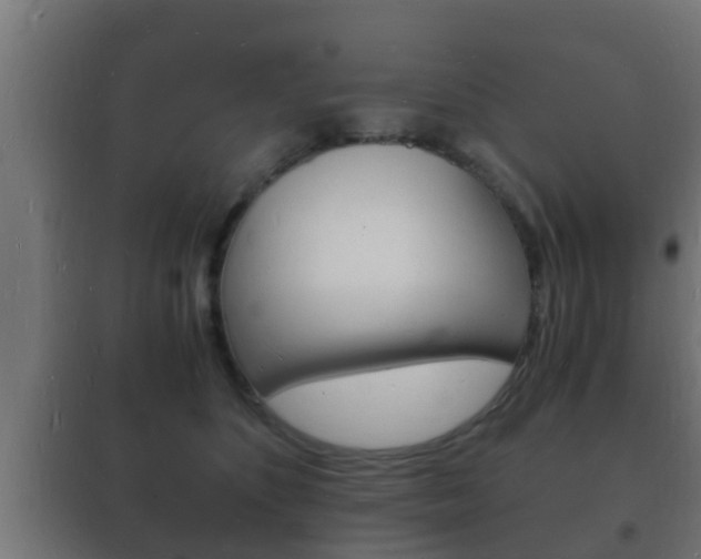 X0000102220516200807250749