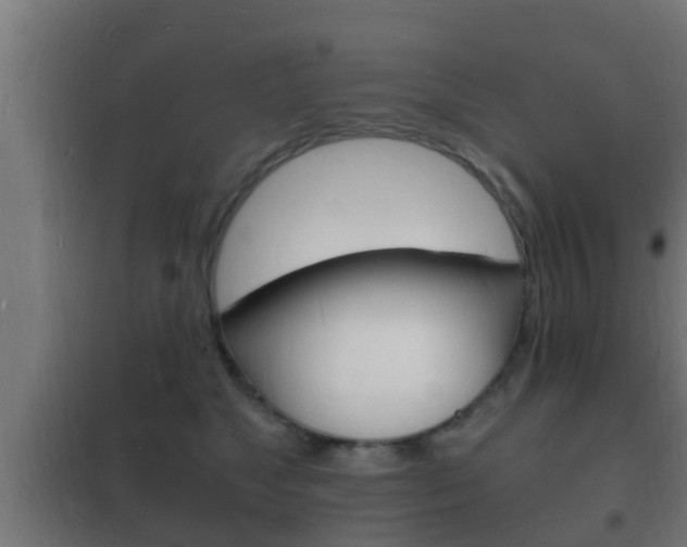 X0000102220517200807250749