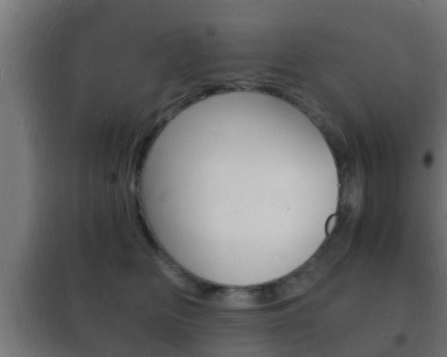 X0000102220518200807250749