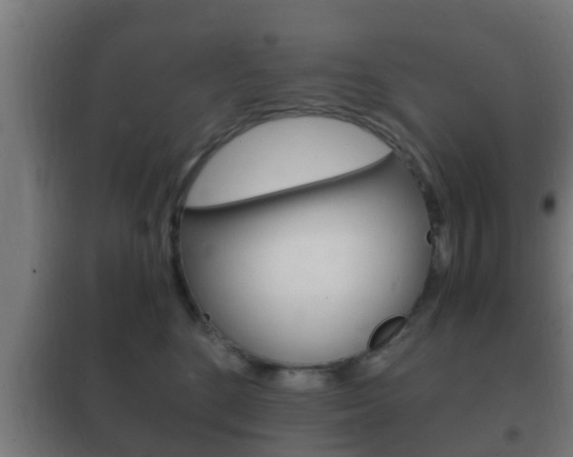 X0000102220520200807250749