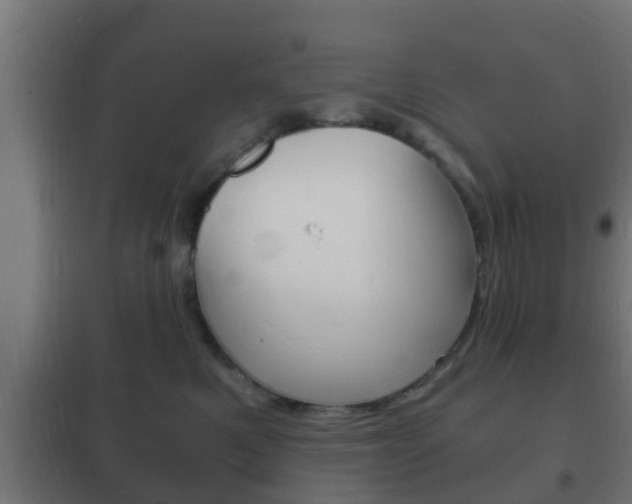X0000102220521200807250749