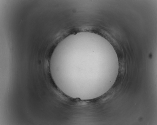 X0000102220523200807250749