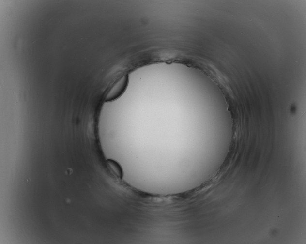 X0000102220524200807250749