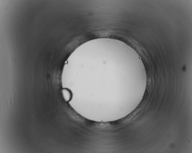 X0000102220525200807250749