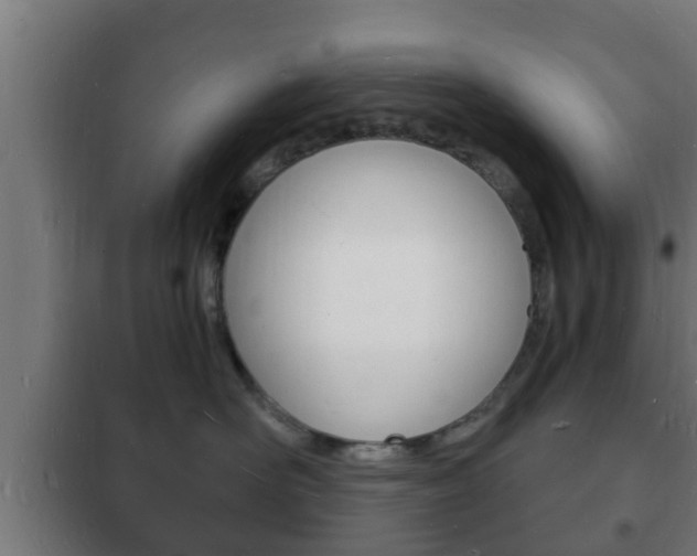 X0000102220526200807250749