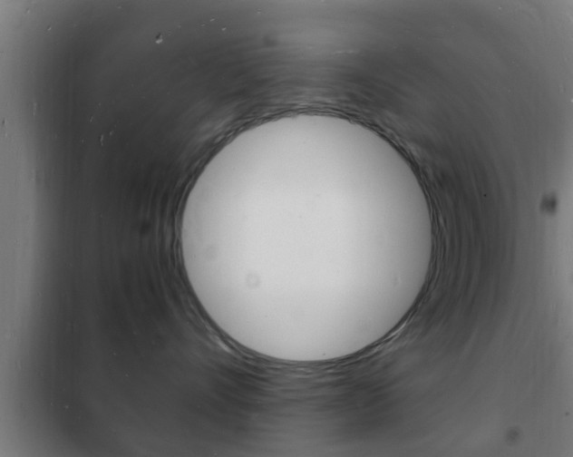 X0000102220528200807250749
