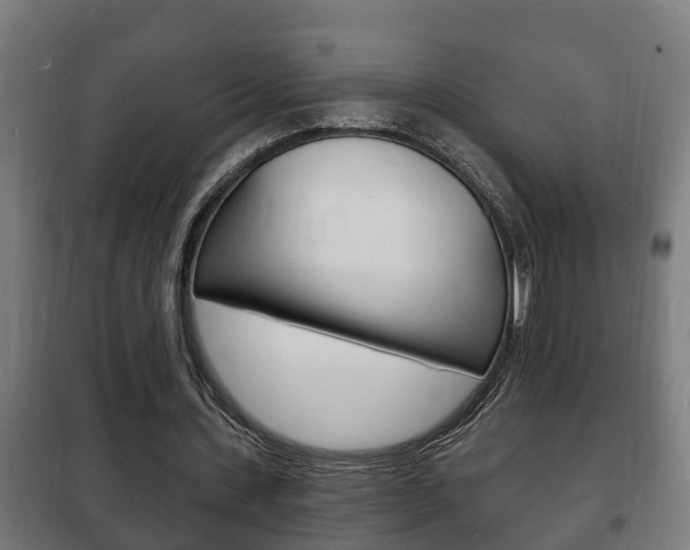 X0000102220531200807250748