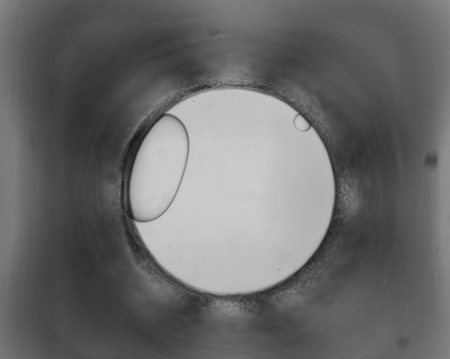 X0000102220534200807250748