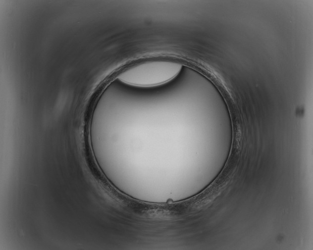 X0000102220535200807250748