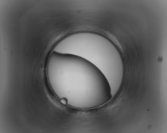 X0000102220538200807250748