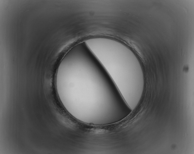 X0000102220539200807250748