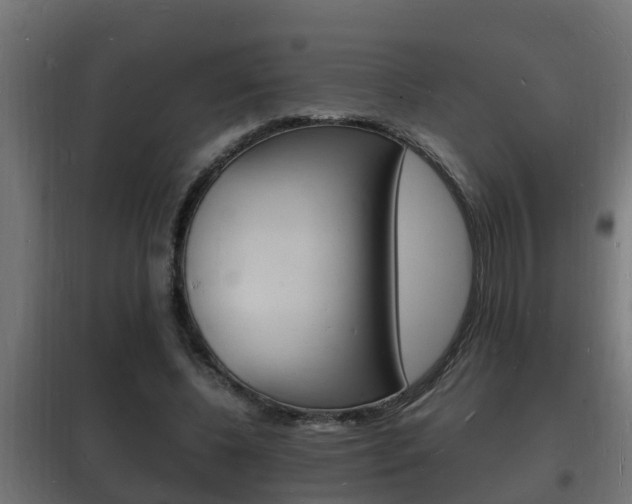 X0000102220540200807250748