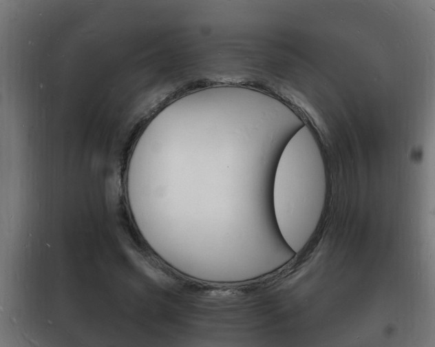 X0000102220541200807250748