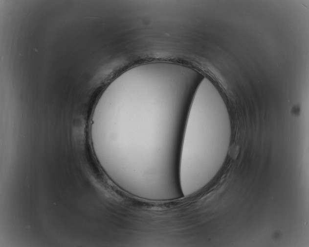 X0000102220542200807250748
