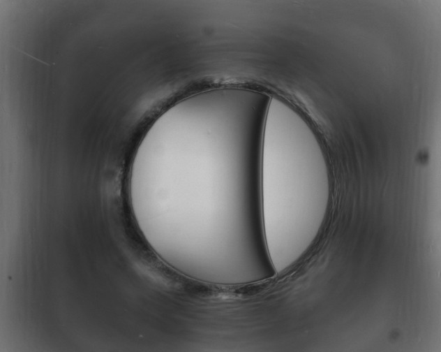 X0000102220543200807250748