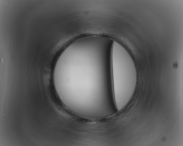 X0000102220544200807250748