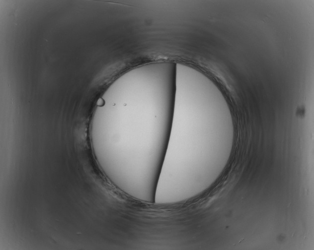 X0000102220545200807250748