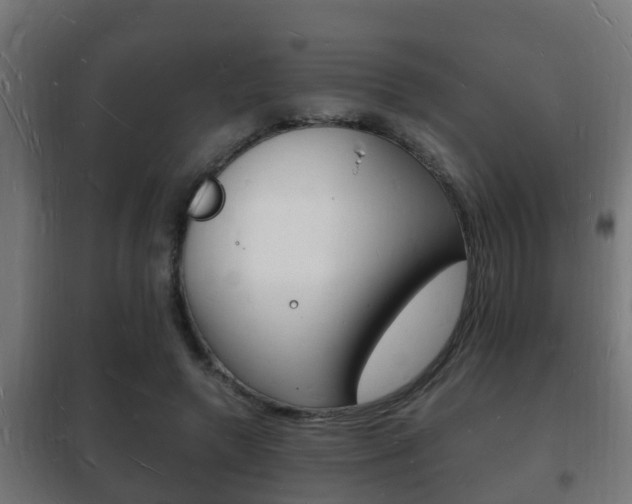 X0000102220546200807250748