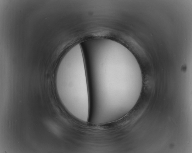 X0000102220547200807250748