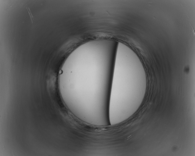X0000102220550200807250748