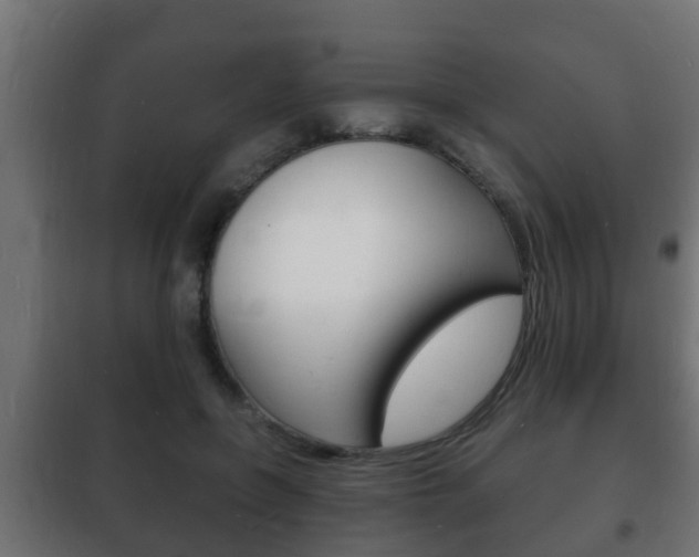 X0000102220551200807250748