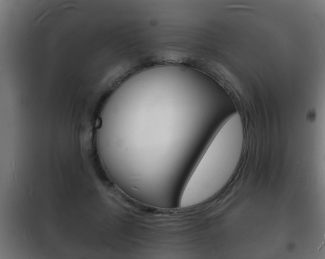 X0000102220552200807250748