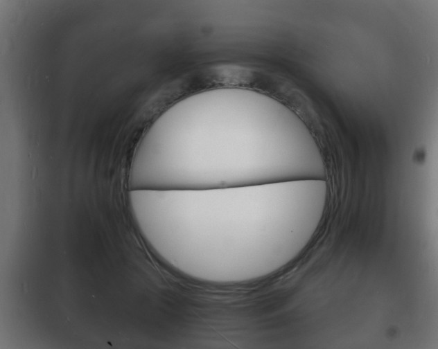 X0000102220553200807250748