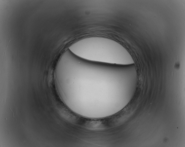 X0000102220554200807250748