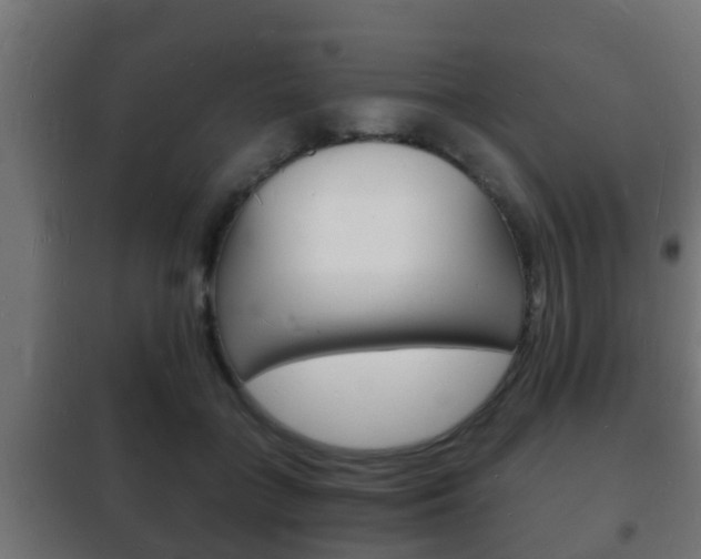 X0000102220555200807250748