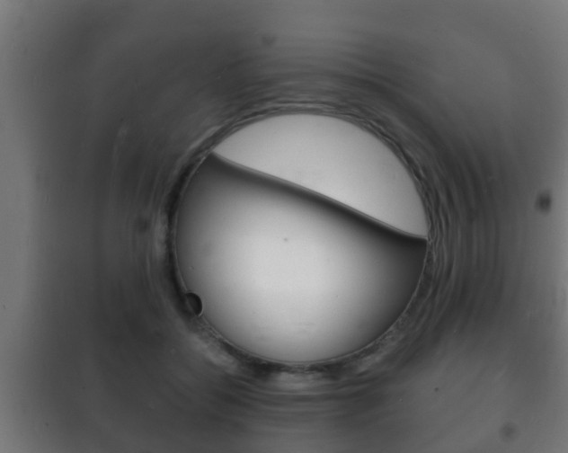 X0000102220556200807250748