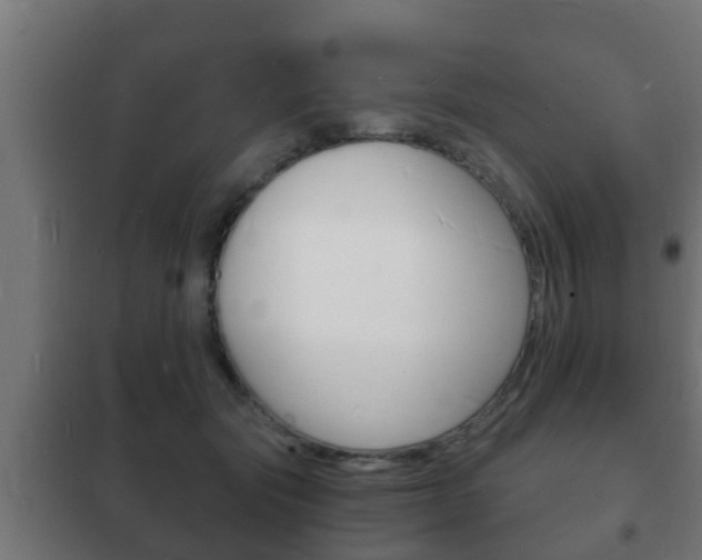 X0000102220557200807250748