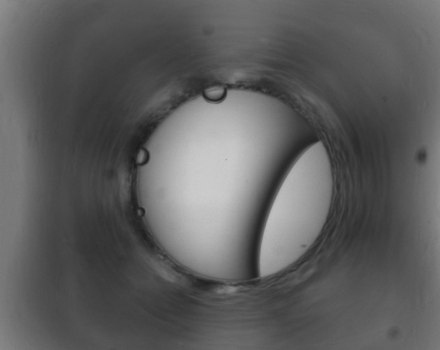 X0000102220558200807250748